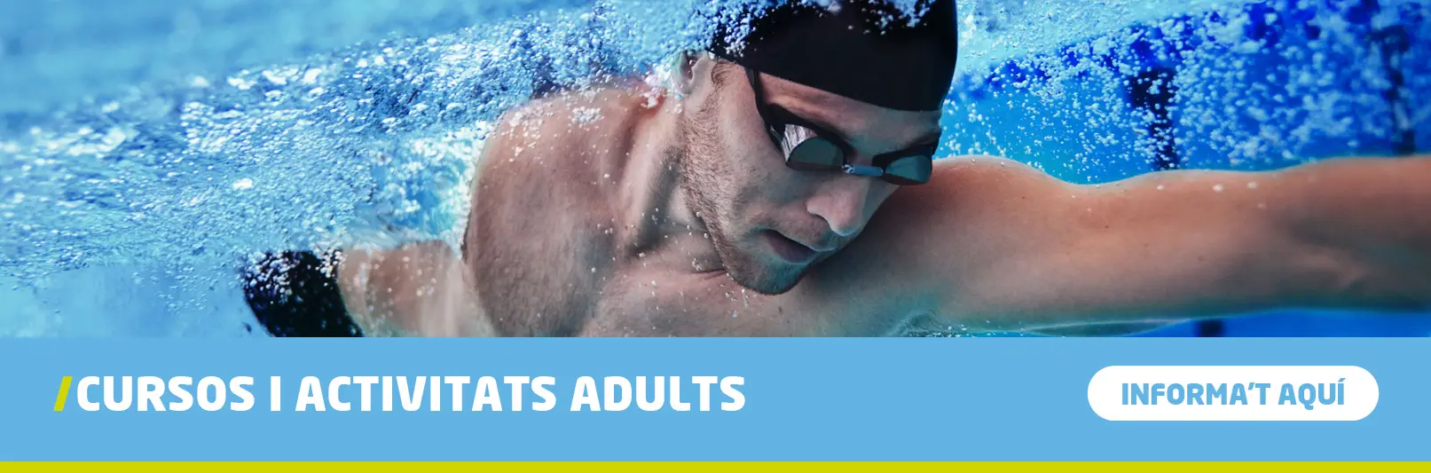 cursos adults natació