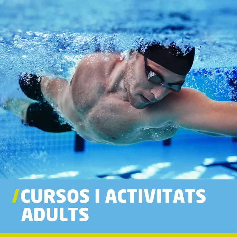 cursos adults natació