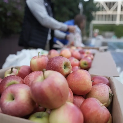 Recollida samarretes Women's Day