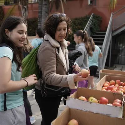 Recollida samarretes Women's Day